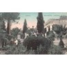 Rare collectable postcards of GREECE. Vintage Postcards of GREECE