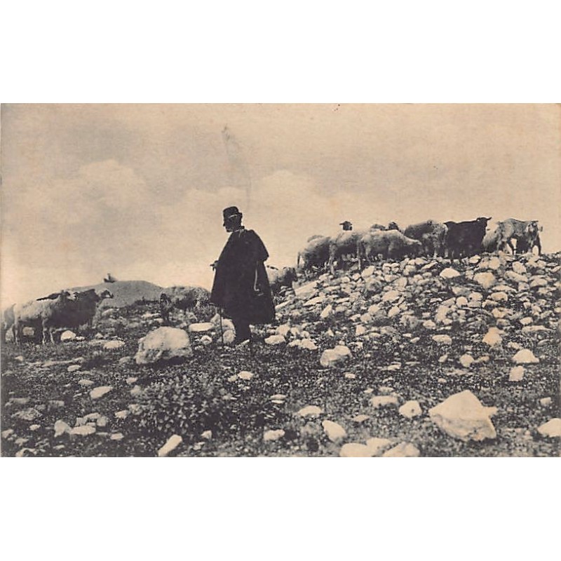 Rare collectable postcards of GREECE. Vintage Postcards of GREECE