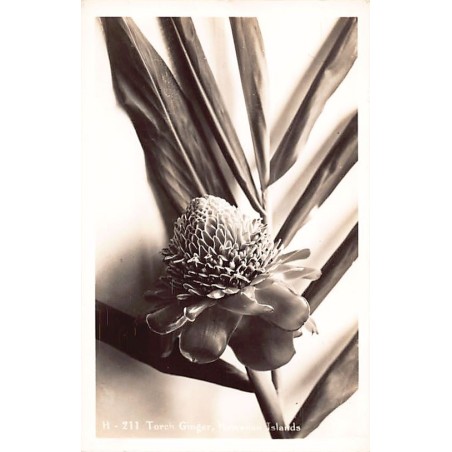 Rare collectable postcards of Hawaii. Vintage Postcards of Hawaii