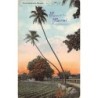 Rare collectable postcards of Hawaii. Vintage Postcards of Hawaii