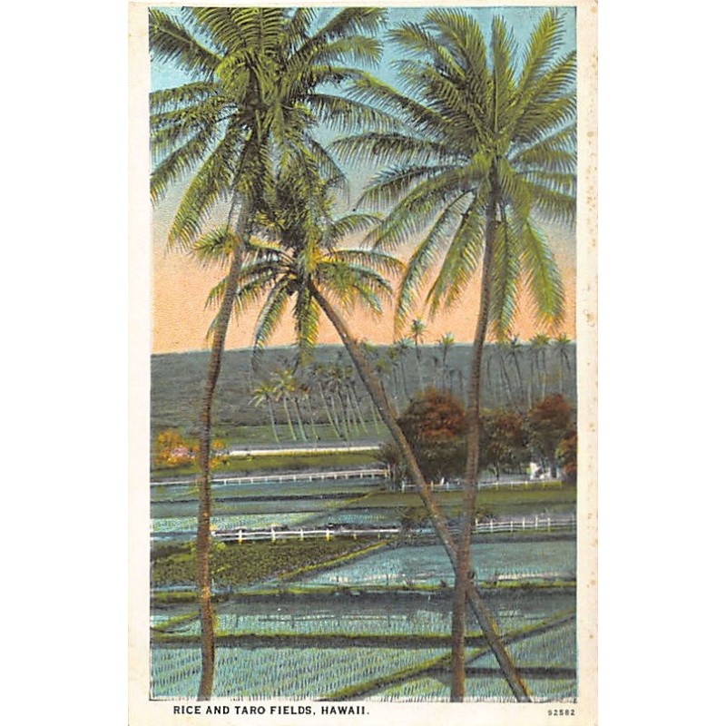 Rare collectable postcards of Hawaii. Vintage Postcards of Hawaii