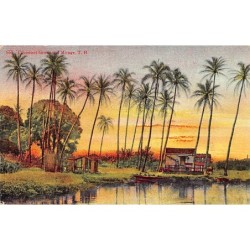 Rare collectable postcards of Hawaii. Vintage Postcards of Hawaii