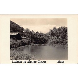 Rare collectable postcards of Hawaii. Vintage Postcards of Hawaii