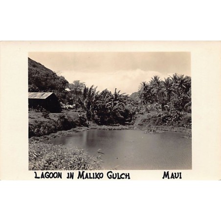 Rare collectable postcards of Hawaii. Vintage Postcards of Hawaii