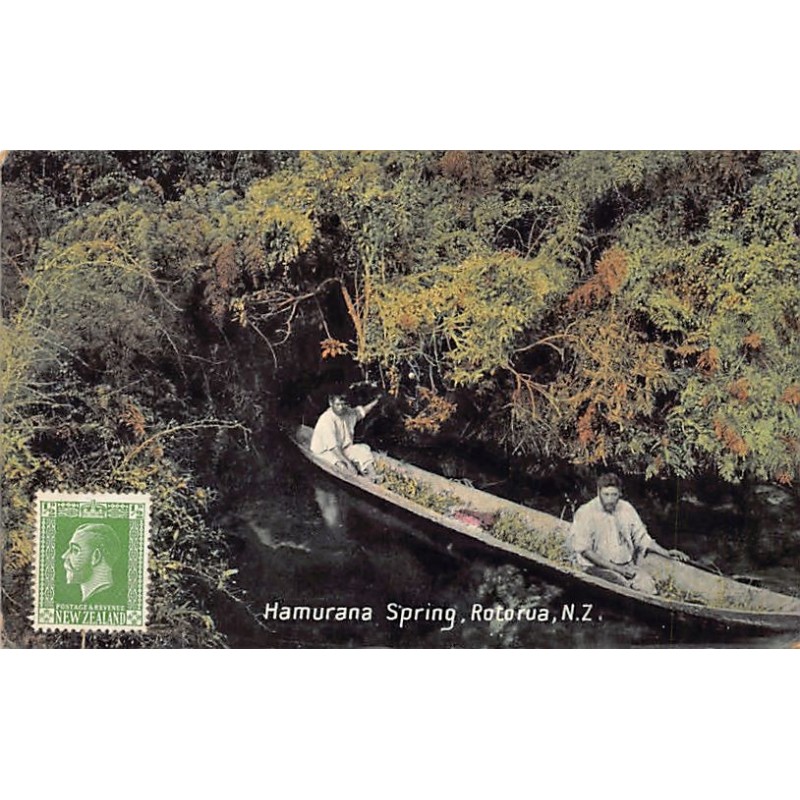 Rare collectable postcards of New Zealand. Vintage Postcards of New Zealand