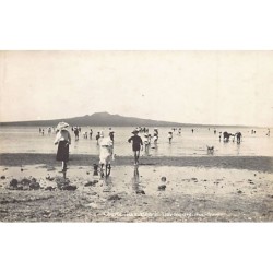 Rare collectable postcards of New Zealand. Vintage Postcards of New Zealand