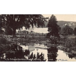 Rare collectable postcards of New Zealand. Vintage Postcards of New Zealand