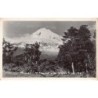 Rare collectable postcards of New Zealand. Vintage Postcards of New Zealand