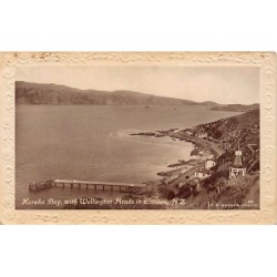 Rare collectable postcards of New Zealand. Vintage Postcards of New Zealand