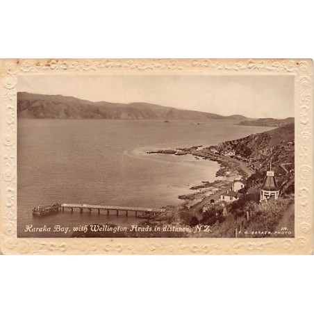 Rare collectable postcards of New Zealand. Vintage Postcards of New Zealand