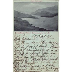 Rare collectable postcards of New Zealand. Vintage Postcards of New Zealand