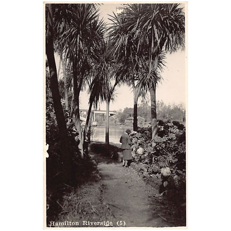 Rare collectable postcards of New Zealand. Vintage Postcards of New Zealand