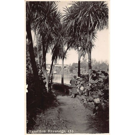 Rare collectable postcards of New Zealand. Vintage Postcards of New Zealand