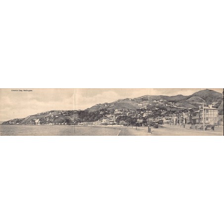 Rare collectable postcards of New Zealand. Vintage Postcards of New Zealand