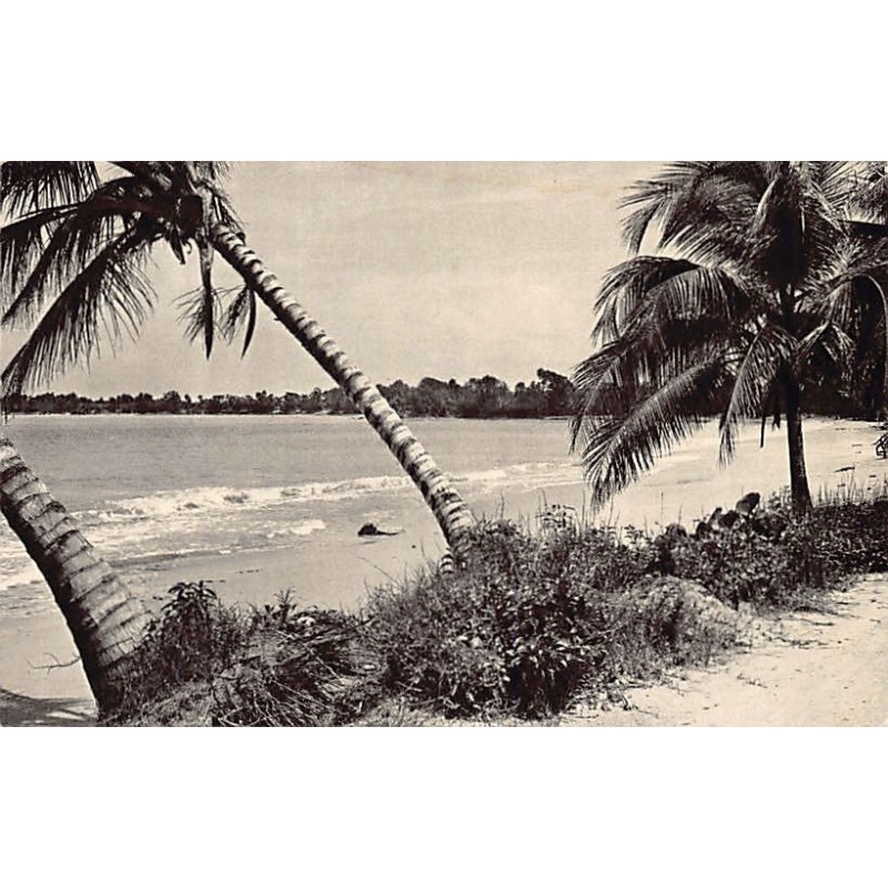Rare collectable postcards of Guadeloupe. Vintage Postcards of Guadeloupe