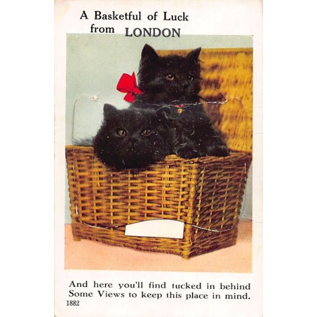 Rare collectable postcards of United Kingdom - England. Vintage Postcards of United Kingdom - England