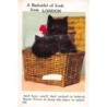 Rare collectable postcards of United Kingdom - England. Vintage Postcards of United Kingdom - England