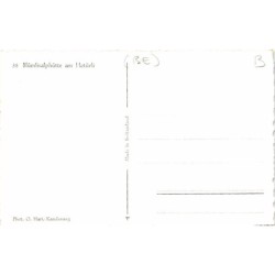 Rare collectable postcards of Switzerland. Vintage Postcards of Switzerland