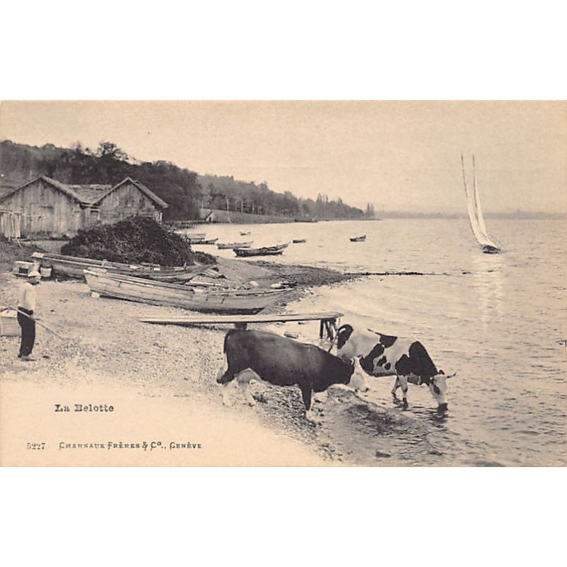 Rare collectable postcards of Switzerland. Vintage Postcards of Switzerland