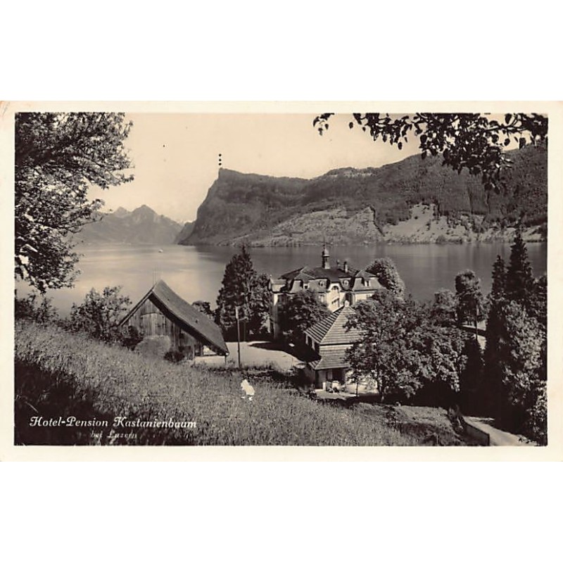 Rare collectable postcards of Switzerland. Vintage Postcards of Switzerland