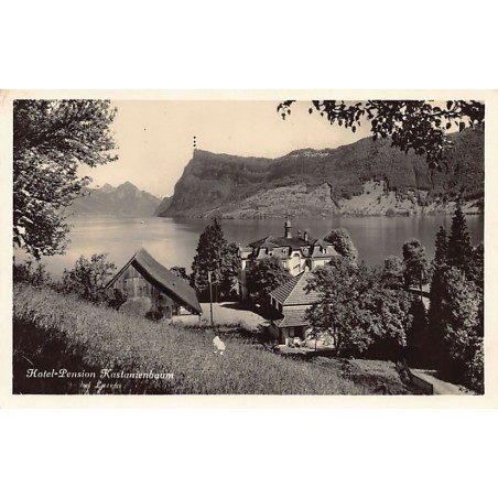 Rare collectable postcards of Switzerland. Vintage Postcards of Switzerland