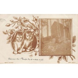 Rare collectable postcards of Switzerland. Vintage Postcards of Switzerland