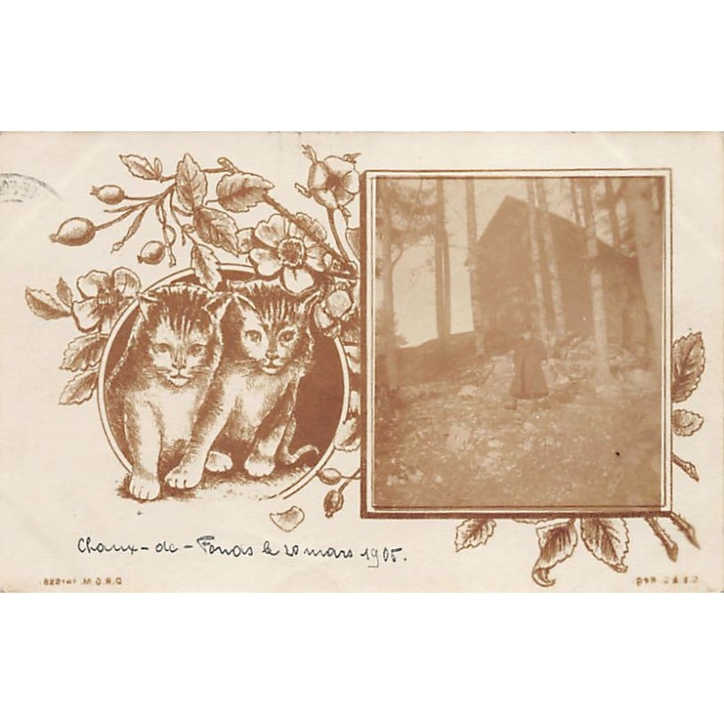 Rare collectable postcards of Switzerland. Vintage Postcards of Switzerland