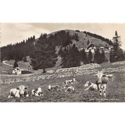 Rare collectable postcards of Switzerland. Vintage Postcards of Switzerland