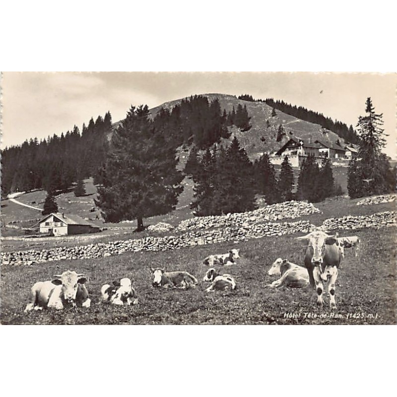 Rare collectable postcards of Switzerland. Vintage Postcards of Switzerland