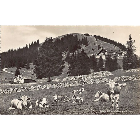 Rare collectable postcards of Switzerland. Vintage Postcards of Switzerland