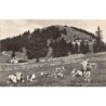 Rare collectable postcards of Switzerland. Vintage Postcards of Switzerland