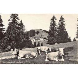 Rare collectable postcards of Switzerland. Vintage Postcards of Switzerland