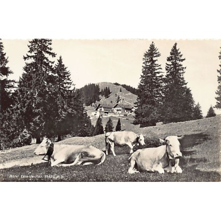 Rare collectable postcards of Switzerland. Vintage Postcards of Switzerland