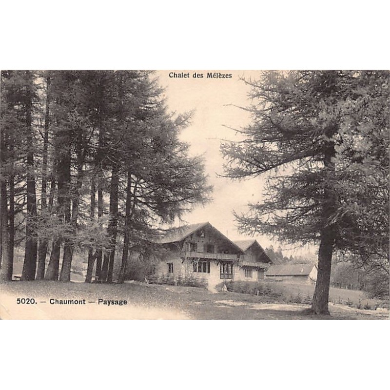 Rare collectable postcards of Switzerland. Vintage Postcards of Switzerland