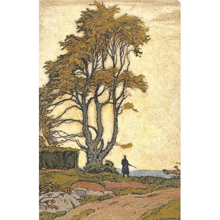 Rare collectable postcards of Switzerland. Vintage Postcards of Switzerland