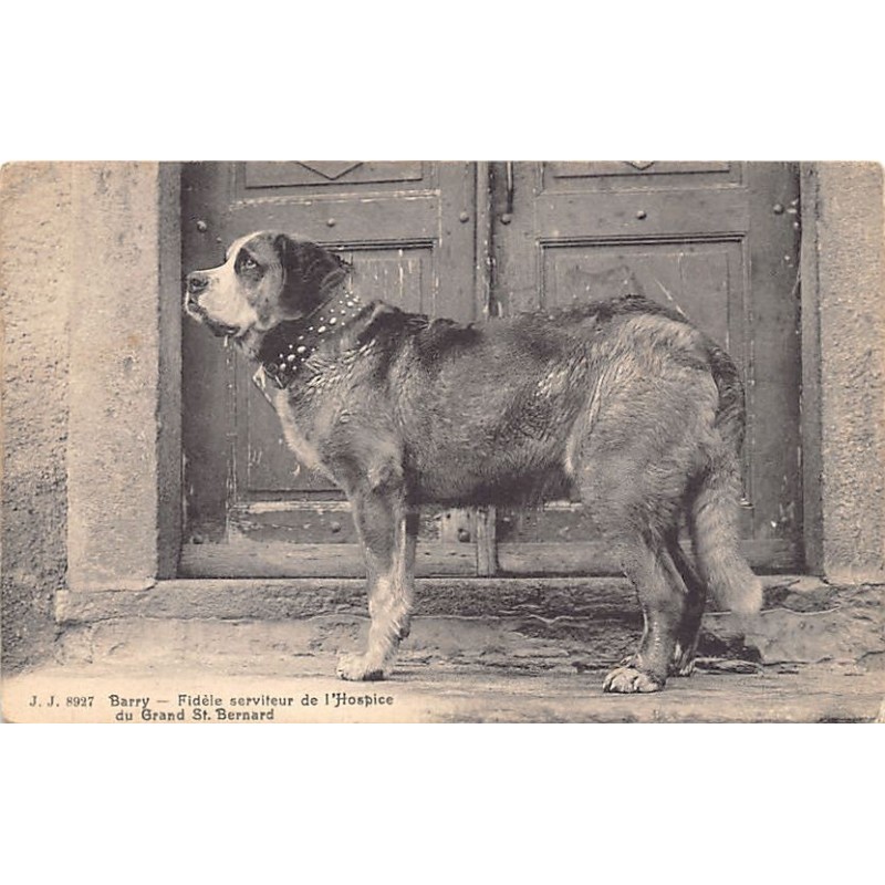 Rare collectable postcards of Switzerland. Vintage Postcards of Switzerland