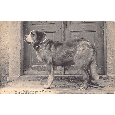 Rare collectable postcards of Switzerland. Vintage Postcards of Switzerland