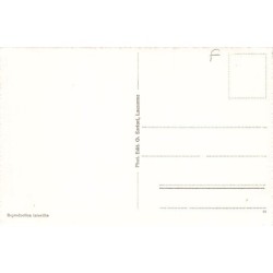 Rare collectable postcards of Switzerland. Vintage Postcards of Switzerland