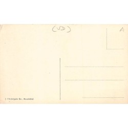 Rare collectable postcards of Switzerland. Vintage Postcards of Switzerland