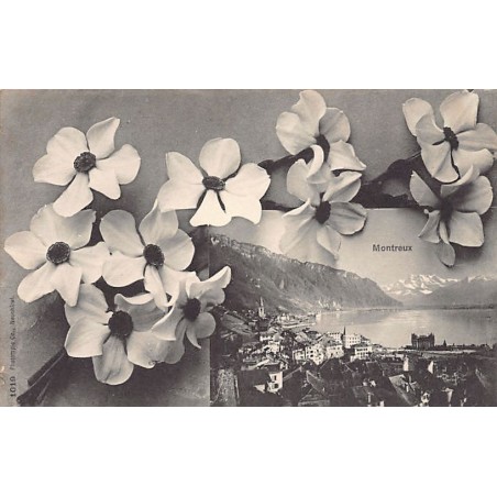 Rare collectable postcards of Switzerland. Vintage Postcards of Switzerland