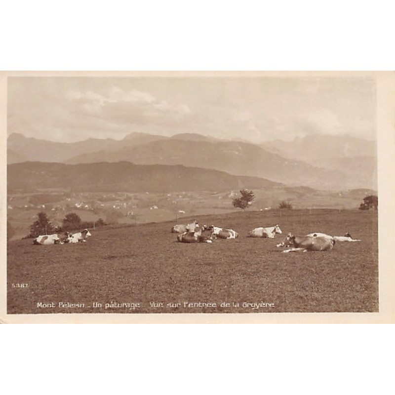 Rare collectable postcards of Switzerland. Vintage Postcards of Switzerland