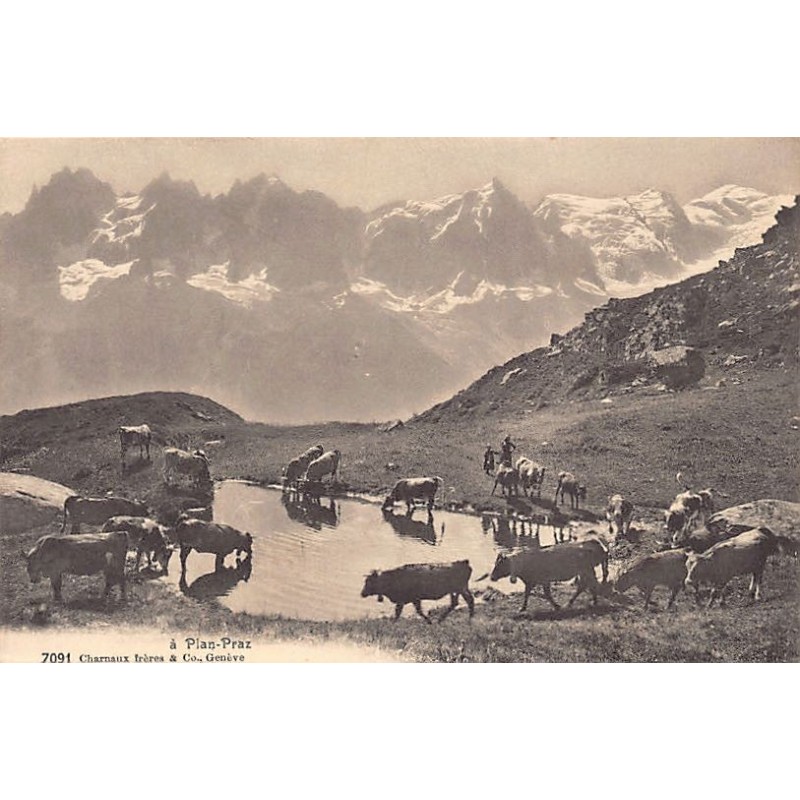 Rare collectable postcards of Switzerland. Vintage Postcards of Switzerland