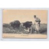 Rare collectable postcards of GREECE. Vintage Postcards of GREECE
