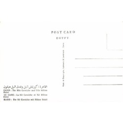 Rare collectable postcards of Egypt. Vintage Postcards of Egypt