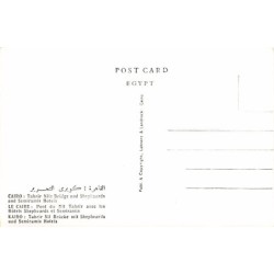 Rare collectable postcards of Egypt. Vintage Postcards of Egypt