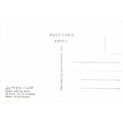 Rare collectable postcards of Egypt. Vintage Postcards of Egypt