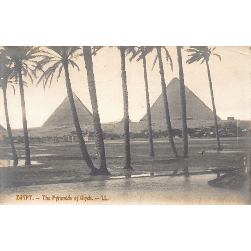 Rare collectable postcards of Egypt. Vintage Postcards of Egypt
