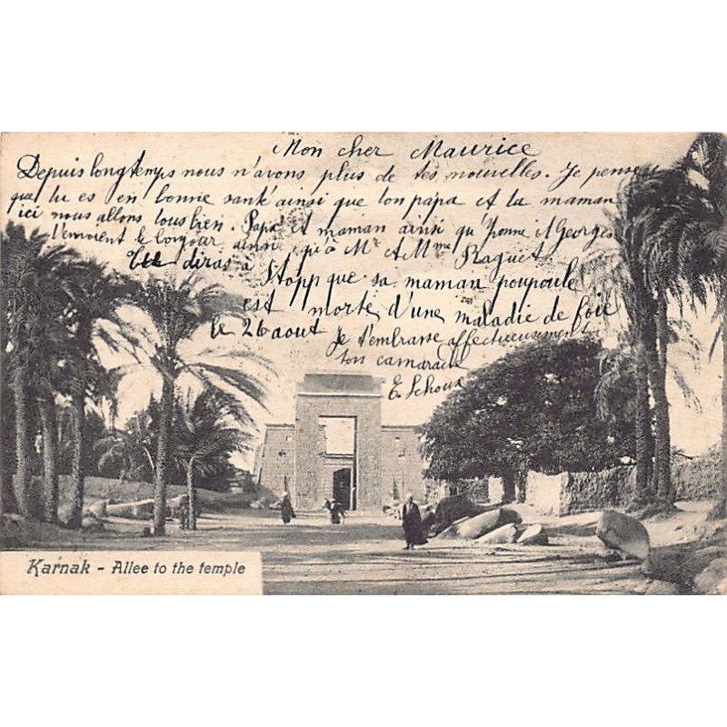 Rare collectable postcards of Egypt. Vintage Postcards of Egypt