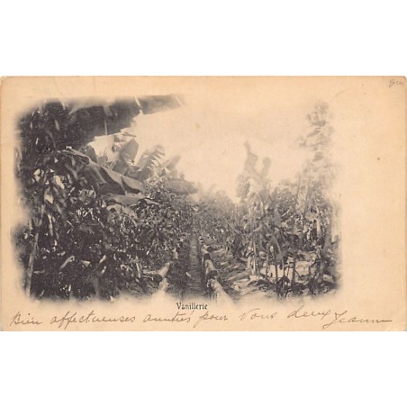 Rare collectable postcards of Madagascar. Vintage Postcards of Madagascar