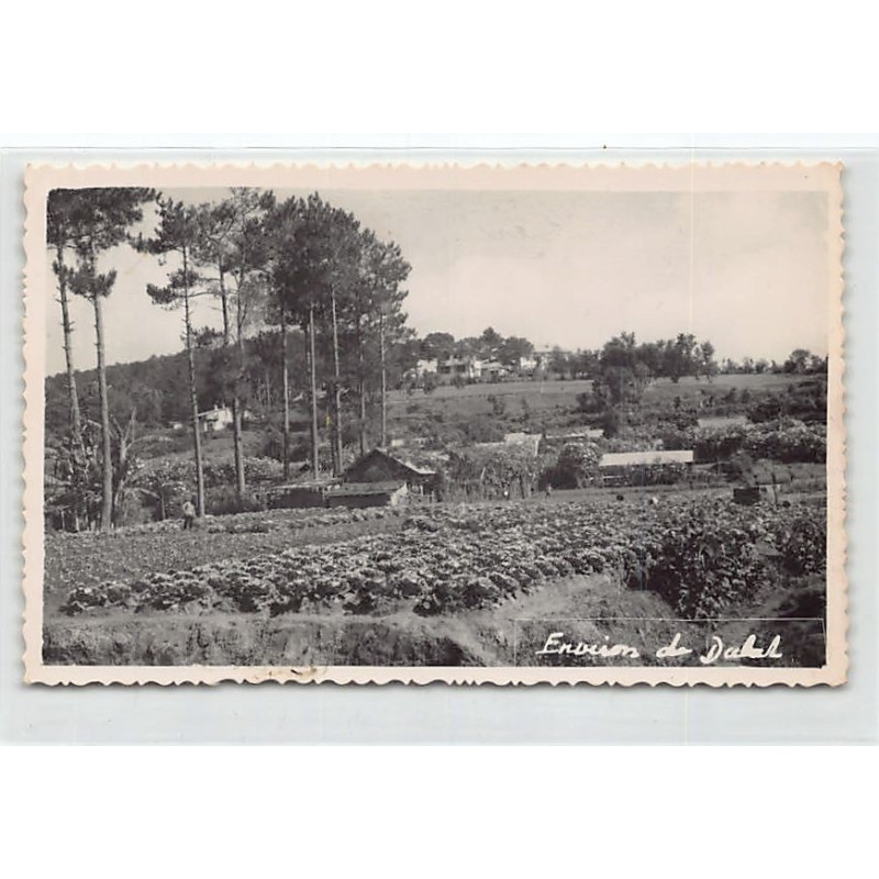 Rare collectable postcards of Vietnam. Vintage Postcards of Vietnam